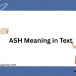 ASH Meaning in Text