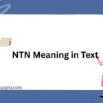 NTN Meaning in Text