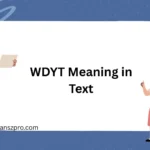 WDYT Meaning in Text
