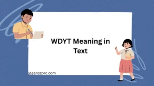 WDYT Meaning in Text