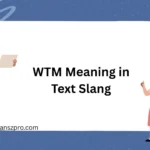 WTM Meaning in Text Slang