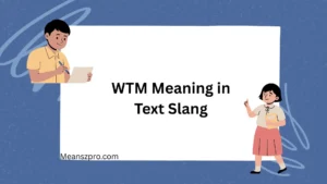 WTM Meaning in Text Slang