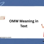 OMW Meaning in Text
