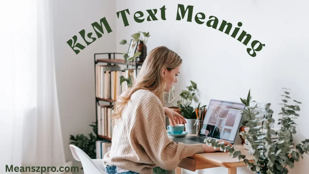 KLM Text Meaning