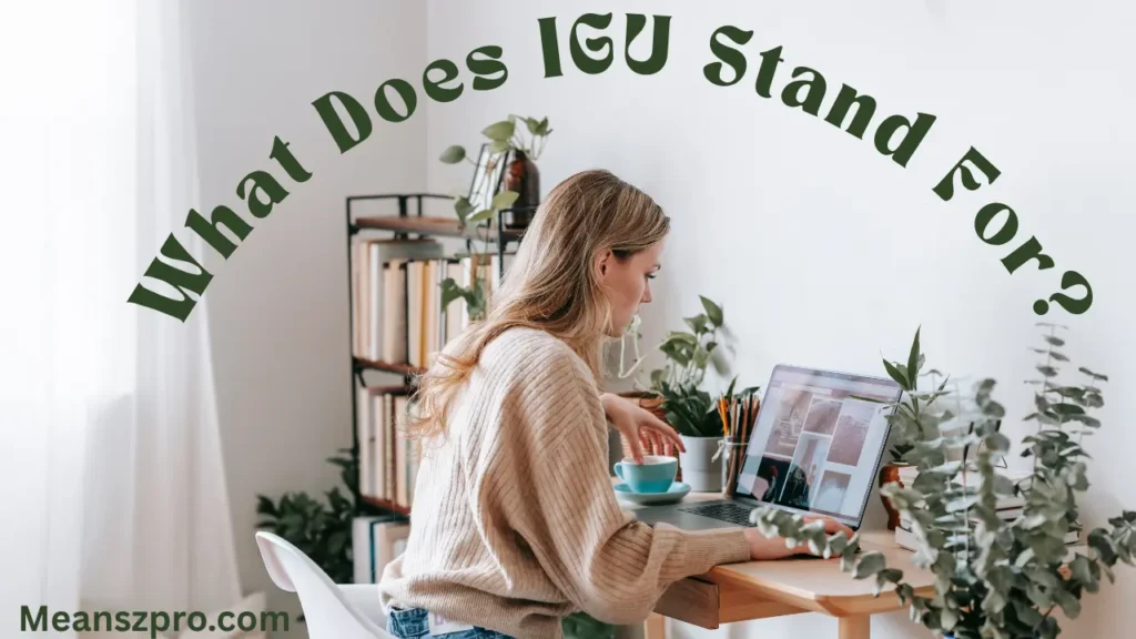 What Does IGU Stand For?